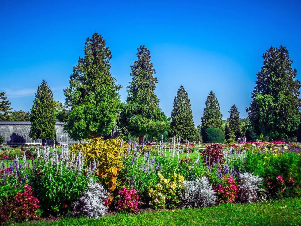 jardins webp ok