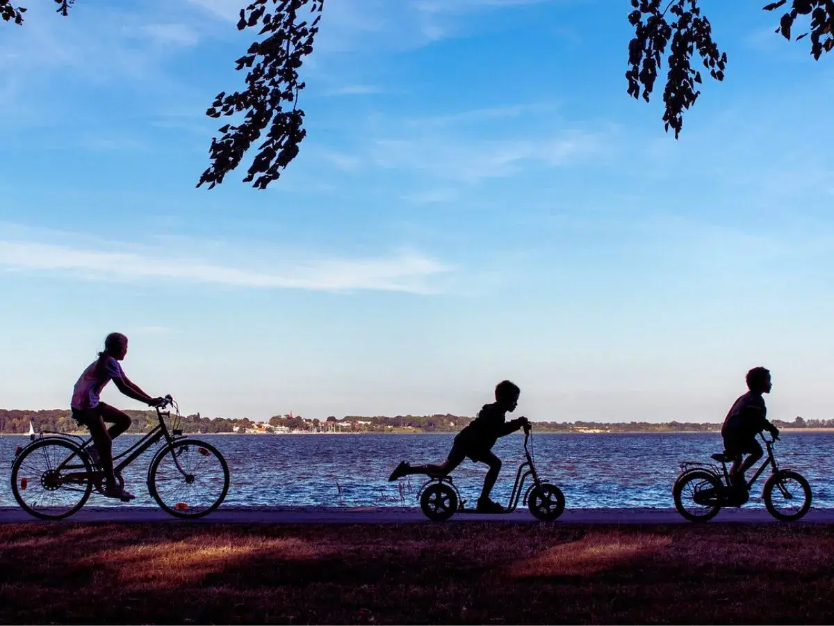 loire a veli webp